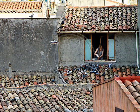 Woman and Pigeons