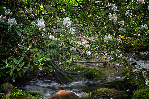 7240_HDR_1