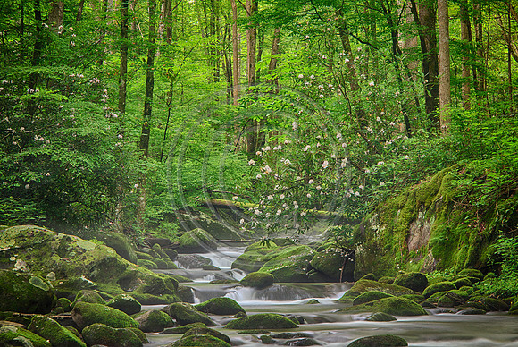 7350_HDR