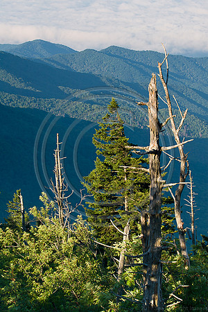 Smokey Mountains
