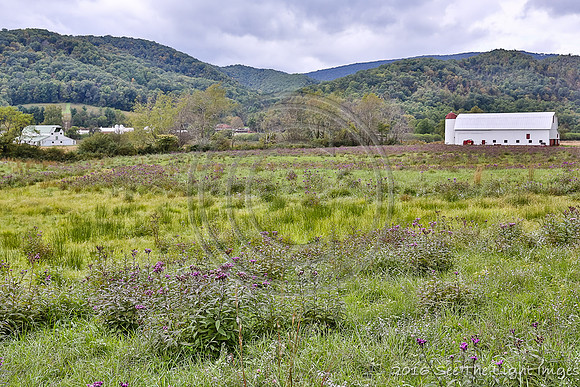 Edem Farm-3534
