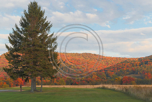 Canaan Valley