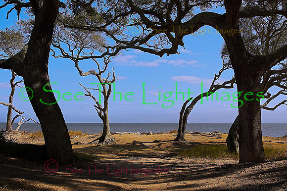 Jekyll Island Seashore