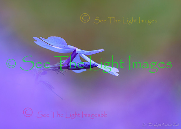 untitled shoot-2593