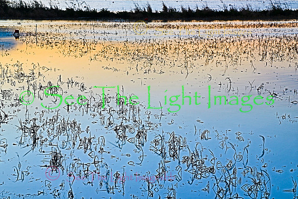 IMG_9769