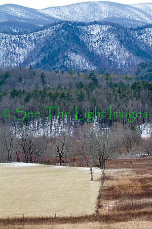 Pastures and Mountains