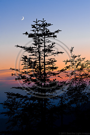 Smoky Mountain Sunset