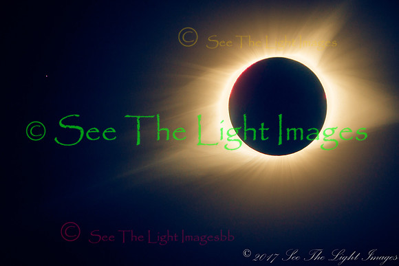©-7119