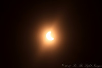 ©-6354