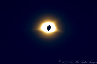 ©-2-4