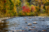 Fall Colors