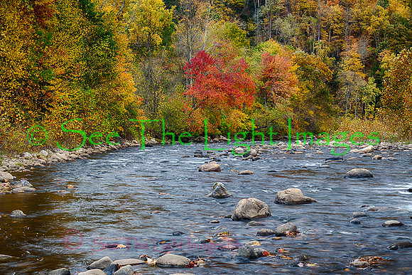 Otter Creek