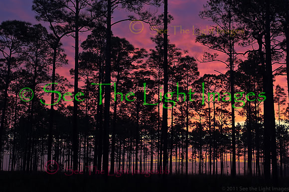 Chesser Island Sunrise