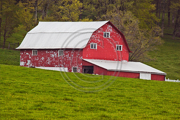 Barn in Canaan Valley