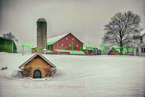 ©-Barn and Cellar