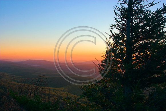Dolly Sods Sunrise