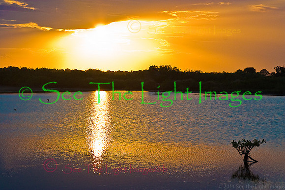 Inland Shores
