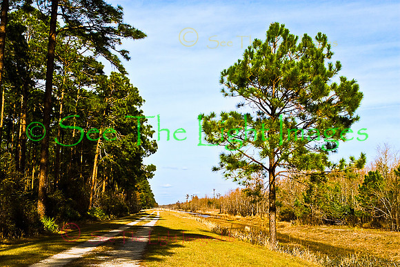 Okefenokee Canal