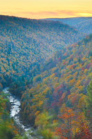 Fall Colors
