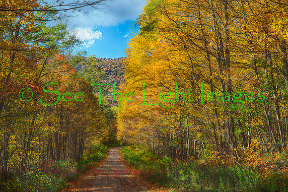 Swago Road