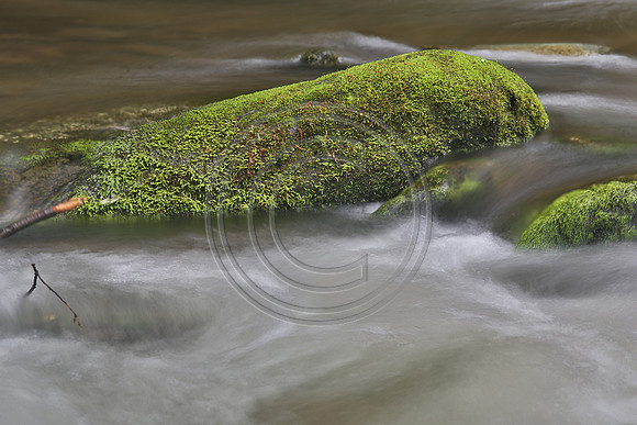 ©-3864