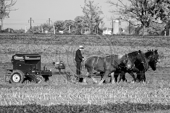 4 Horsepower