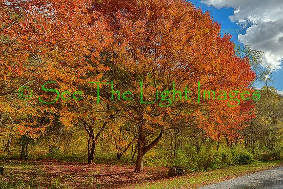 Day Run Campground