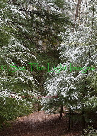 A Light Dusting