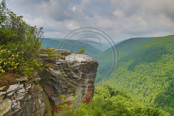 Lindy Point