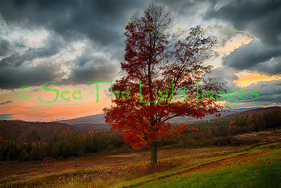 ©-Canaan Valley Sunrise