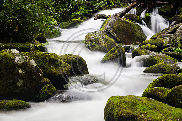 Mountain Stream