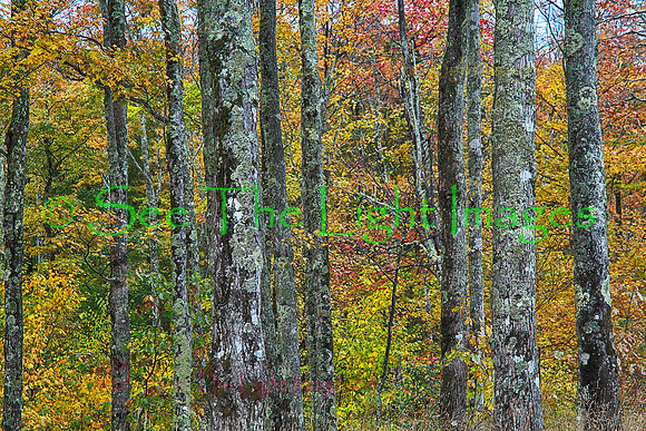 IMG_4272_HDR