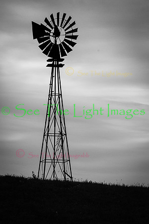 ©-5007