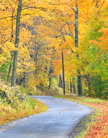 Fall Colors