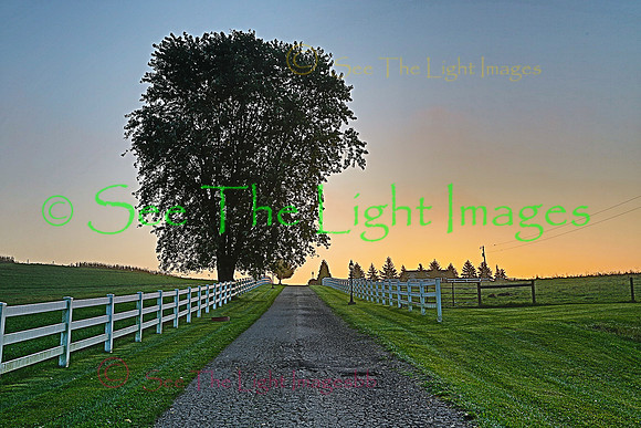 ©-5831