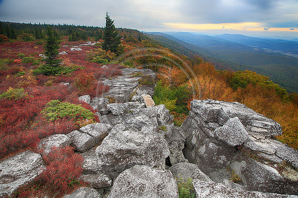 Bear Rocks