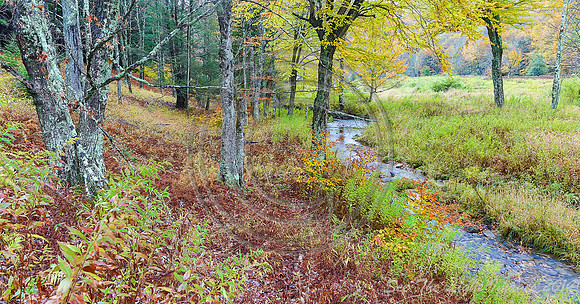 Autumn at Gandy Creek