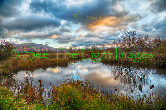 ©-Reflections on the Blackwater