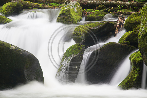 ©-3823