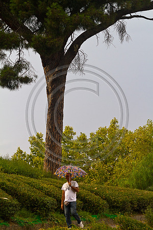 09-19-9585