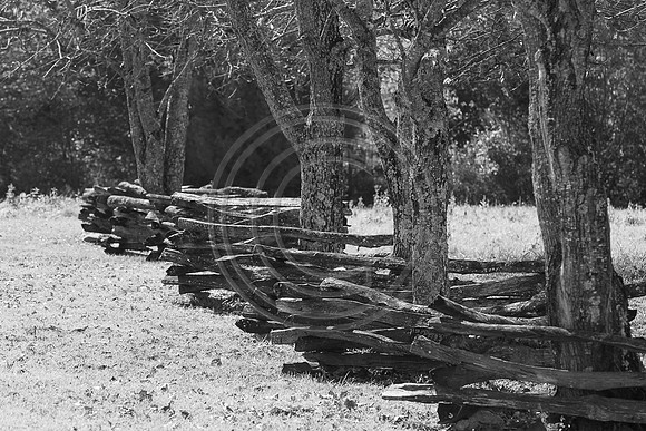 1570-Fence
