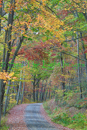 Shavers Fork