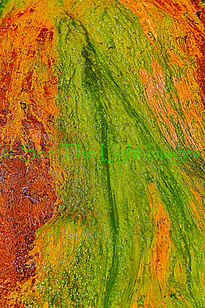 ©-2067