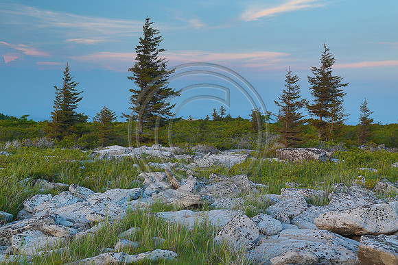 ©-6059