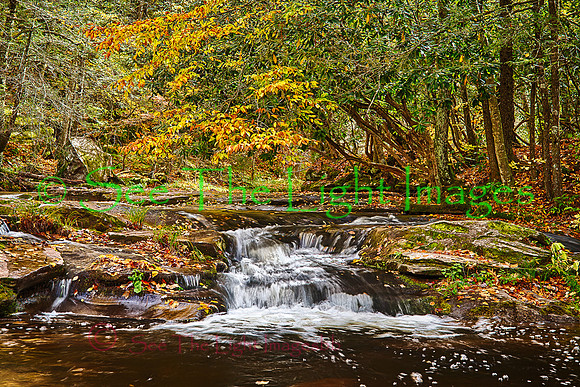 Autumn Creek
