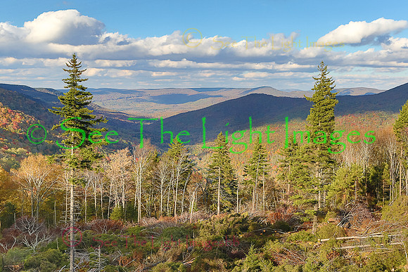 Those West Virginia Hills