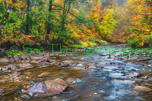 Gandy Creek