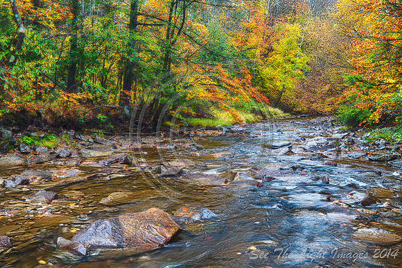 Seneca Creek