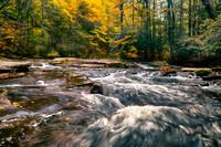Fall Colors