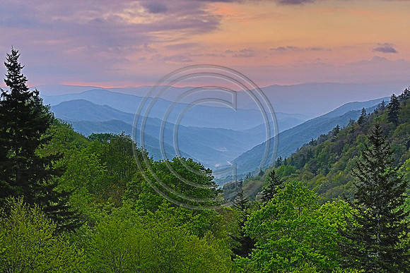 ©-3082